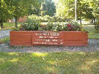 The Wheelchair Garden